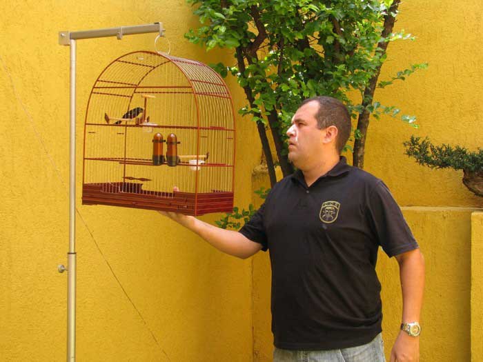 Escola de Canto de Curiós Clássicos Arca da Aliança