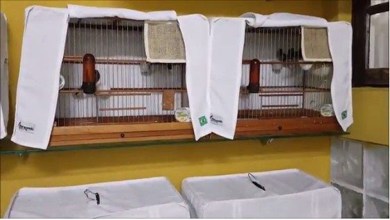 MATERNIDADE E ESCOLA DE CANTO CRIATÓRIO SUBLIME CANTO